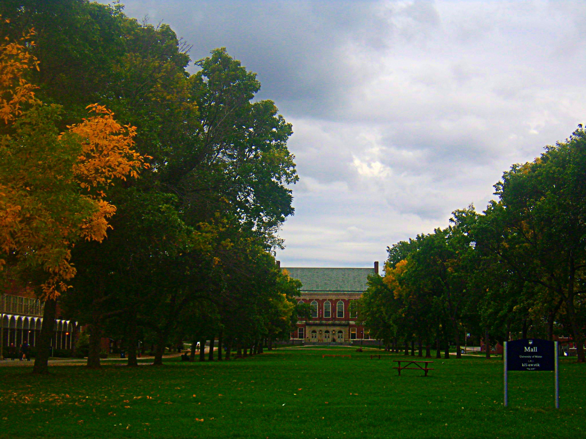 The Innovation Painting & Remodeling team at the University of Maine